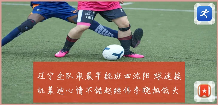 辽宁全队乘最早航班回沈阳 球迷接机莱迪心情不错赵继伟李晓旭低头为中心