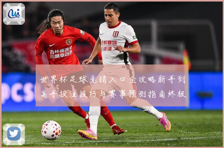 世界杯足球竞猜入口全攻略新手到高手投注技巧与赛事预测指南终极
