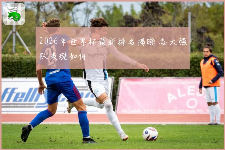 2026年世界杯最新排名揭晓 各大强队表现如何