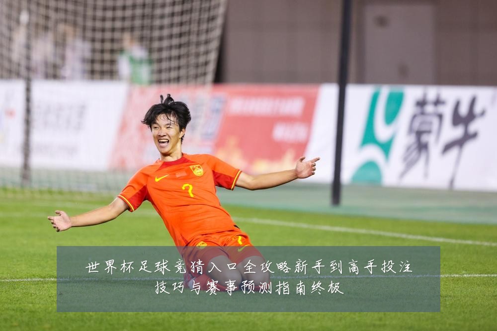 世界杯足球竞猜入口全攻略新手到高手投注技巧与赛事预测指南终极